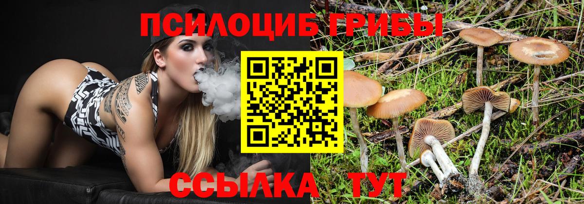 Галлюциногенные грибы Psilocybe Красноуфимск