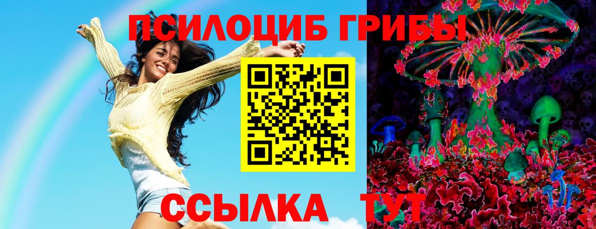 Красноуфимск  Псилоцибиновые грибы Cubensis  Вход с VPN 