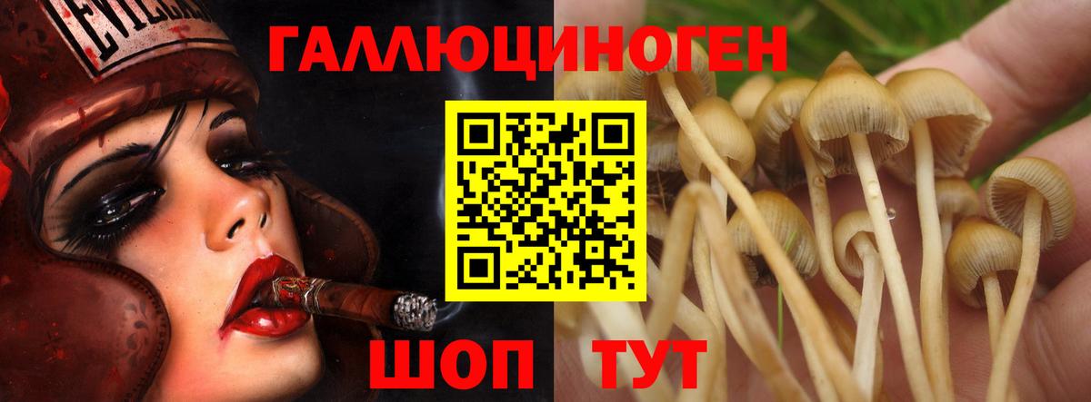 Красноуфимск  Бошки Шишки  Вход с VPN  Гашиш  Мефедрон  